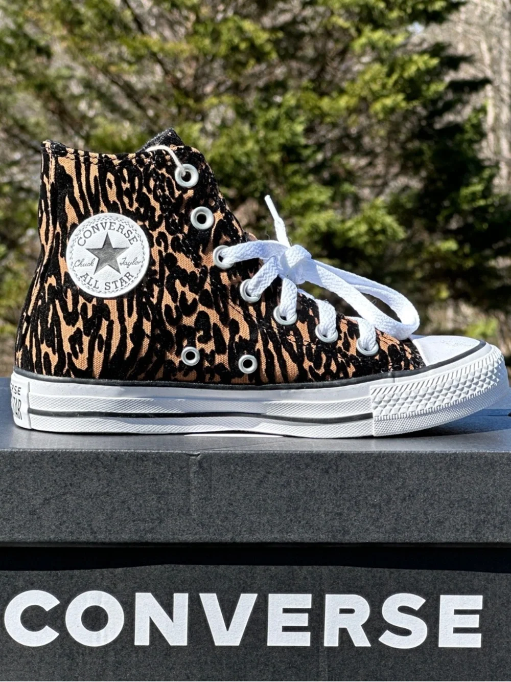 Converse CTAS High Animal Print Canvas Casual Sneaker Womens 6.5 | Youth 5Y NEW